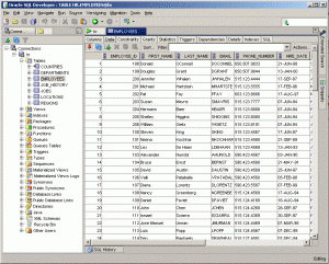 sqldeveloper-izgled
